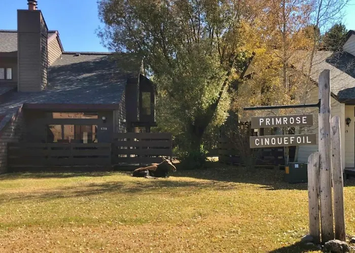 Rmr: Primrose 1711 In The Aspenswilsonwy * Wilson